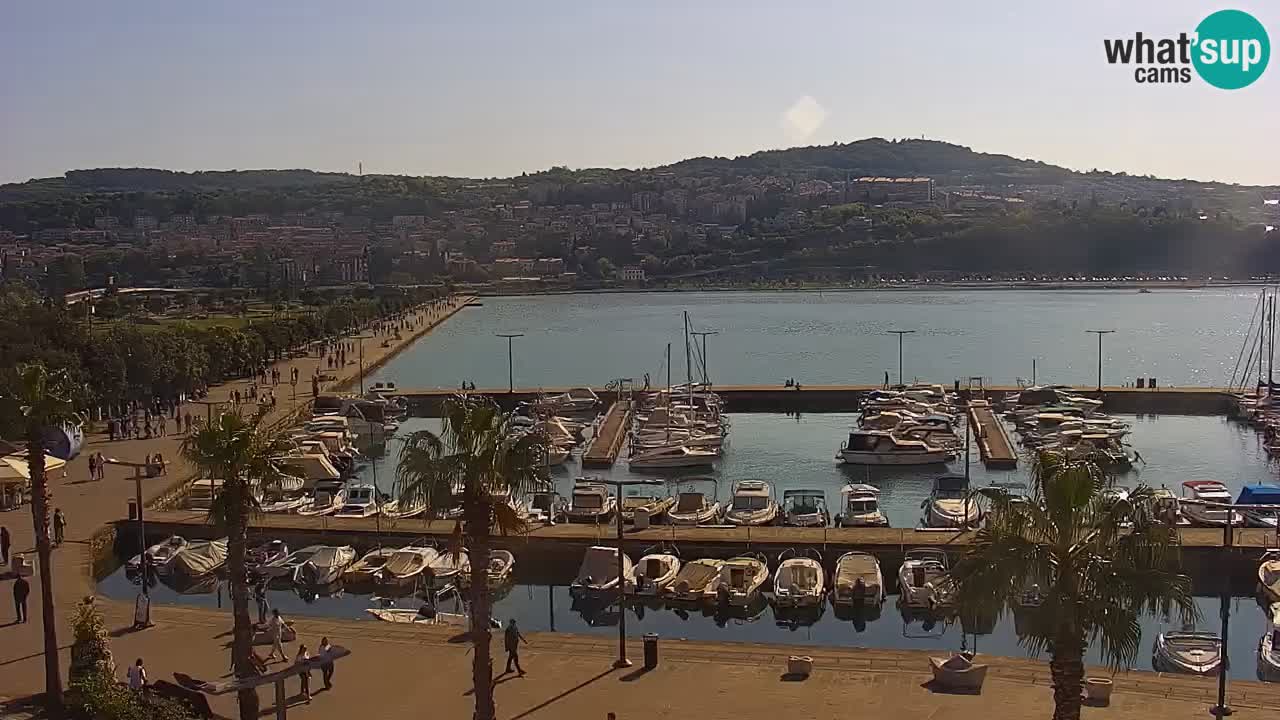 Webcam en direct du port de Koper – port de croisière et de fret – Slovénie
