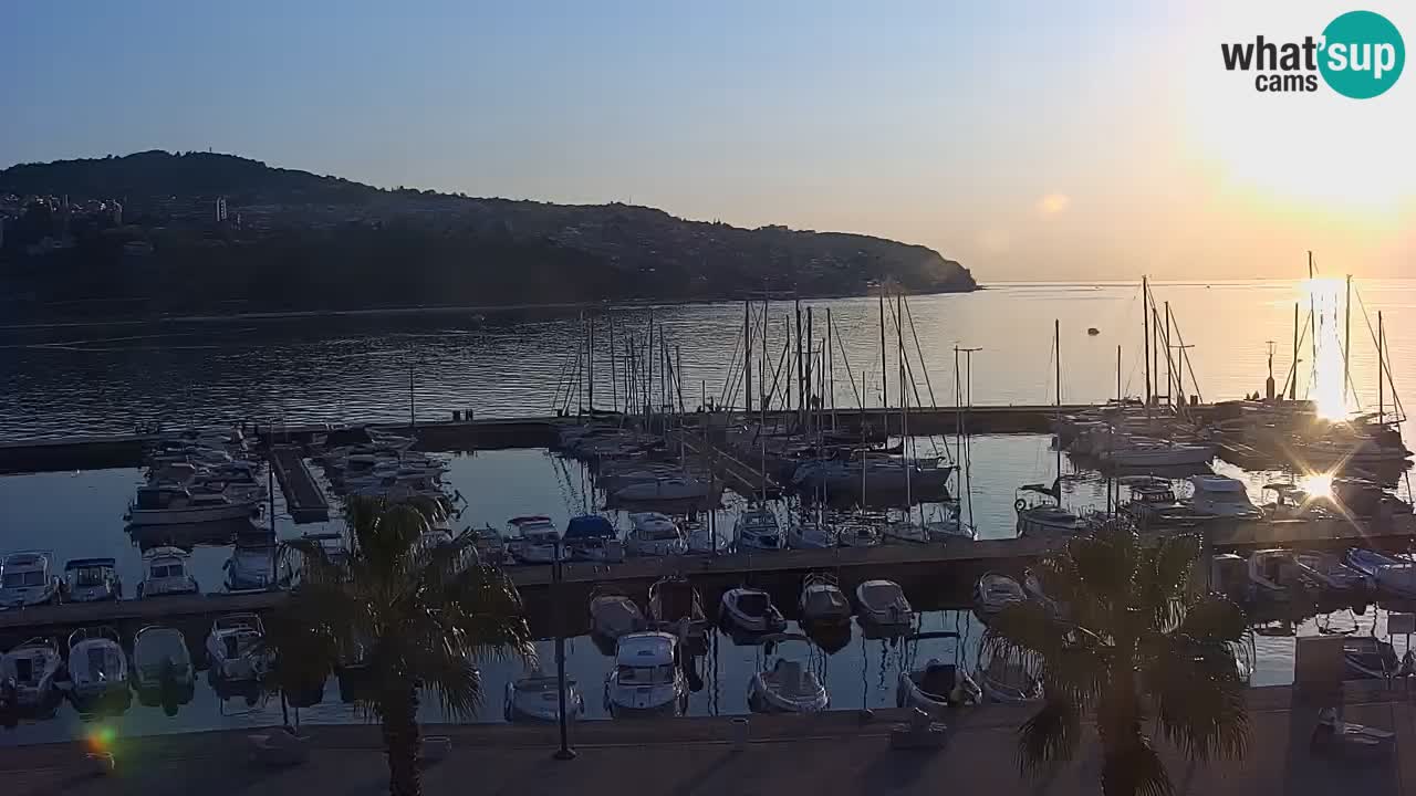 Der Hafen von Koper Live-Webcam – Kreuzfahrt- und Frachthafen – Slowenien