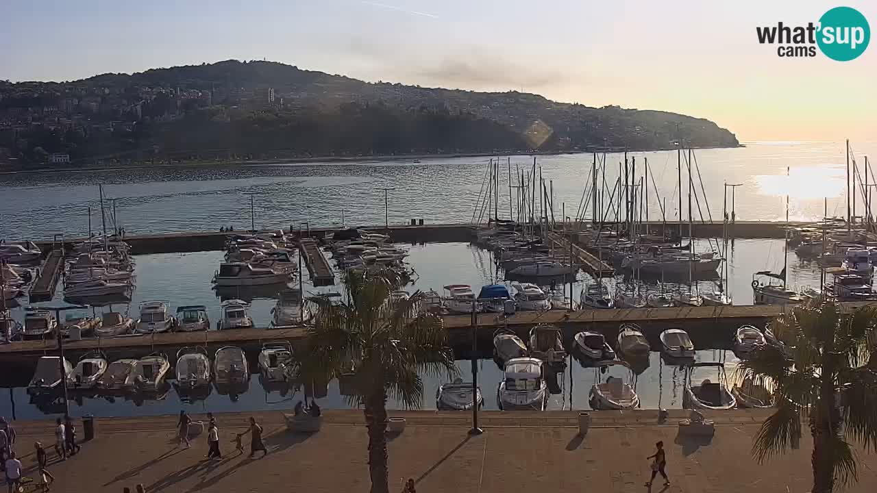 Der Hafen von Koper Live-Webcam – Kreuzfahrt- und Frachthafen – Slowenien