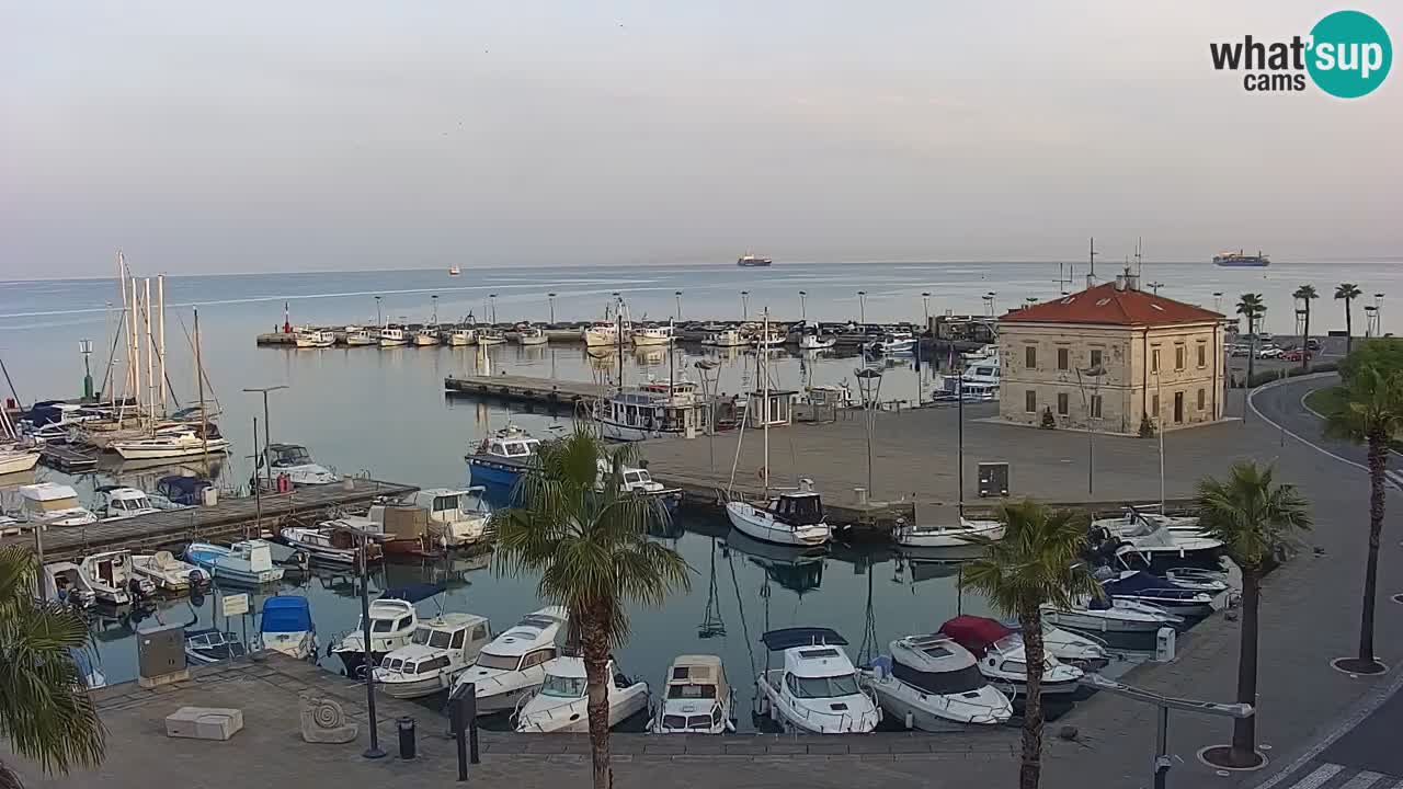 Der Hafen von Koper Live-Webcam – Kreuzfahrt- und Frachthafen – Slowenien