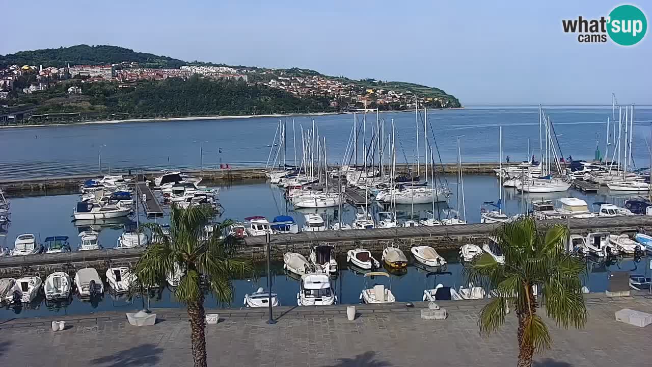Webcam Koper – Panorama of the marina and promenade from the Grand Hotel Koper