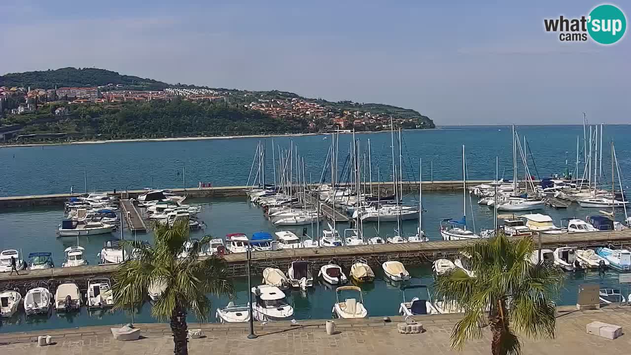 Webcam Koper – Panorama des Jachthafens und der Promenade vom Hotel Grand Koper