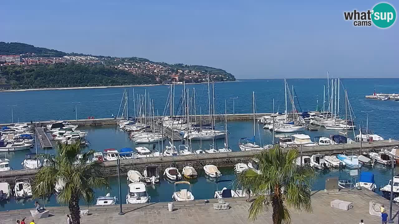 Spletna kamera Luka Koper v živo – Potniški terminal in tovorno pristanišče – Slovenija