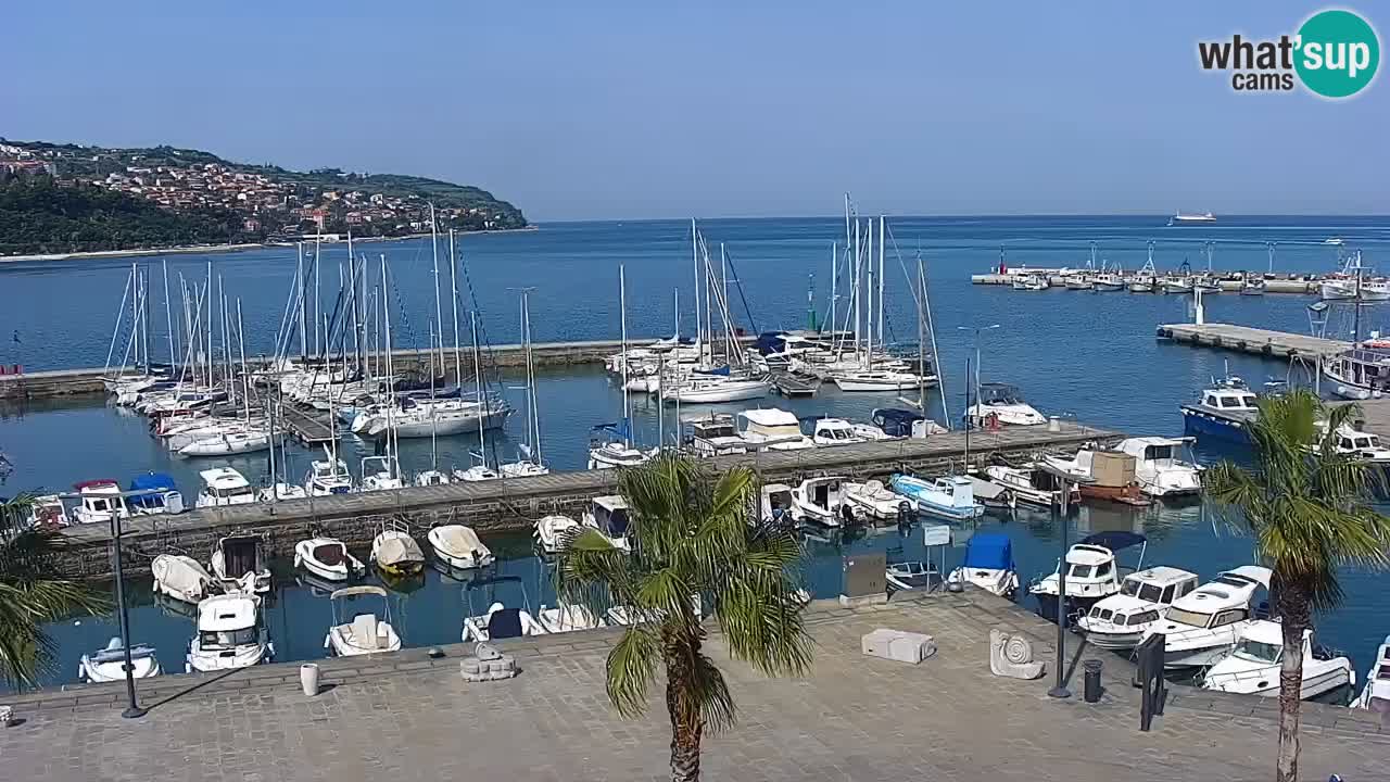 Webcam Koper – Panorama of the marina and promenade from the Grand Hotel Koper