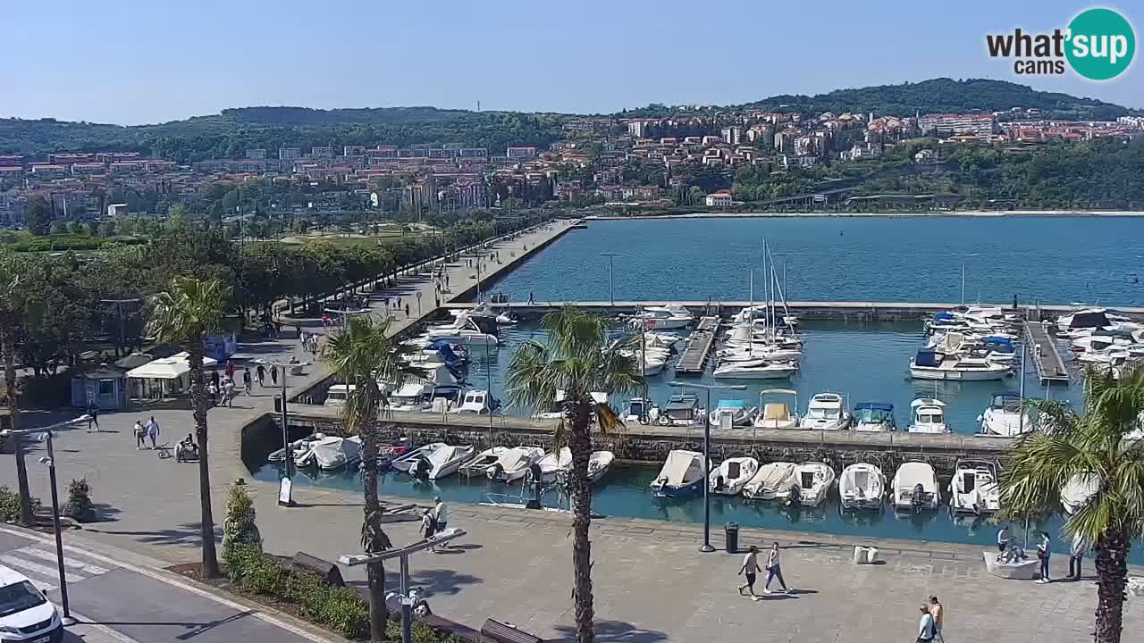 Live cam Koper – Ukmarjev trg