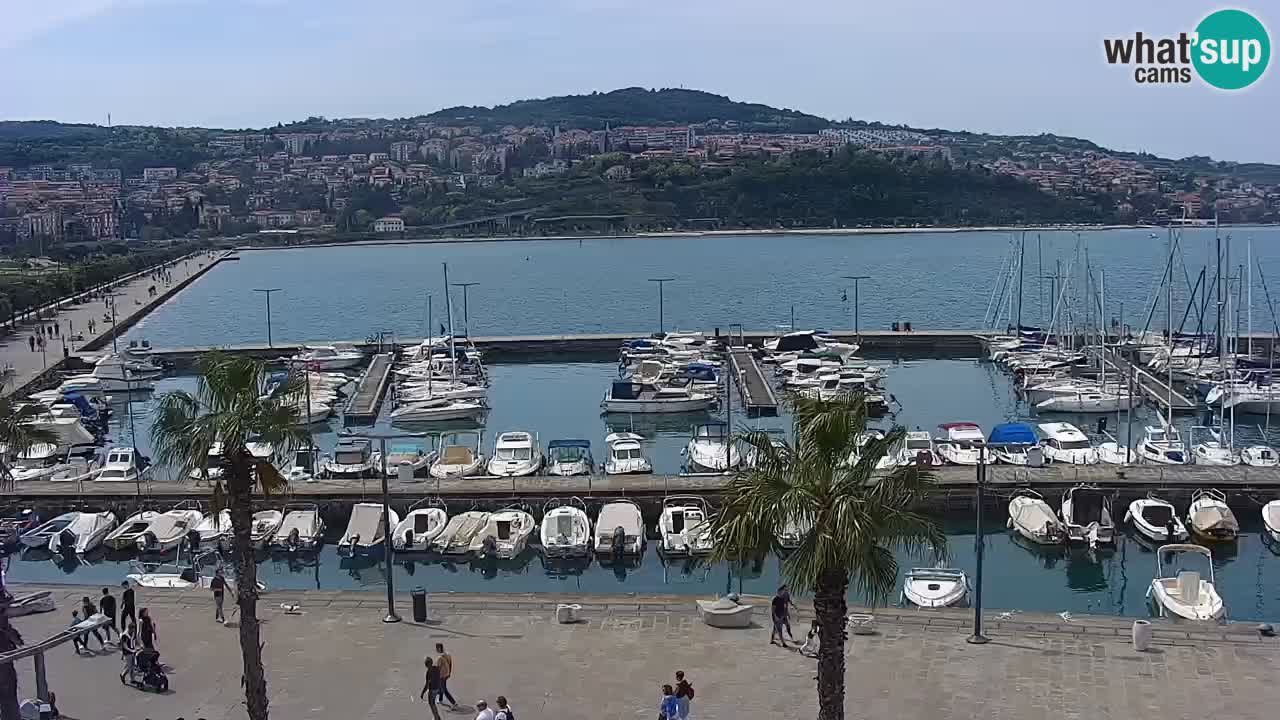 The Port of Koper live webcam – cruise and cargo port – Slovenia