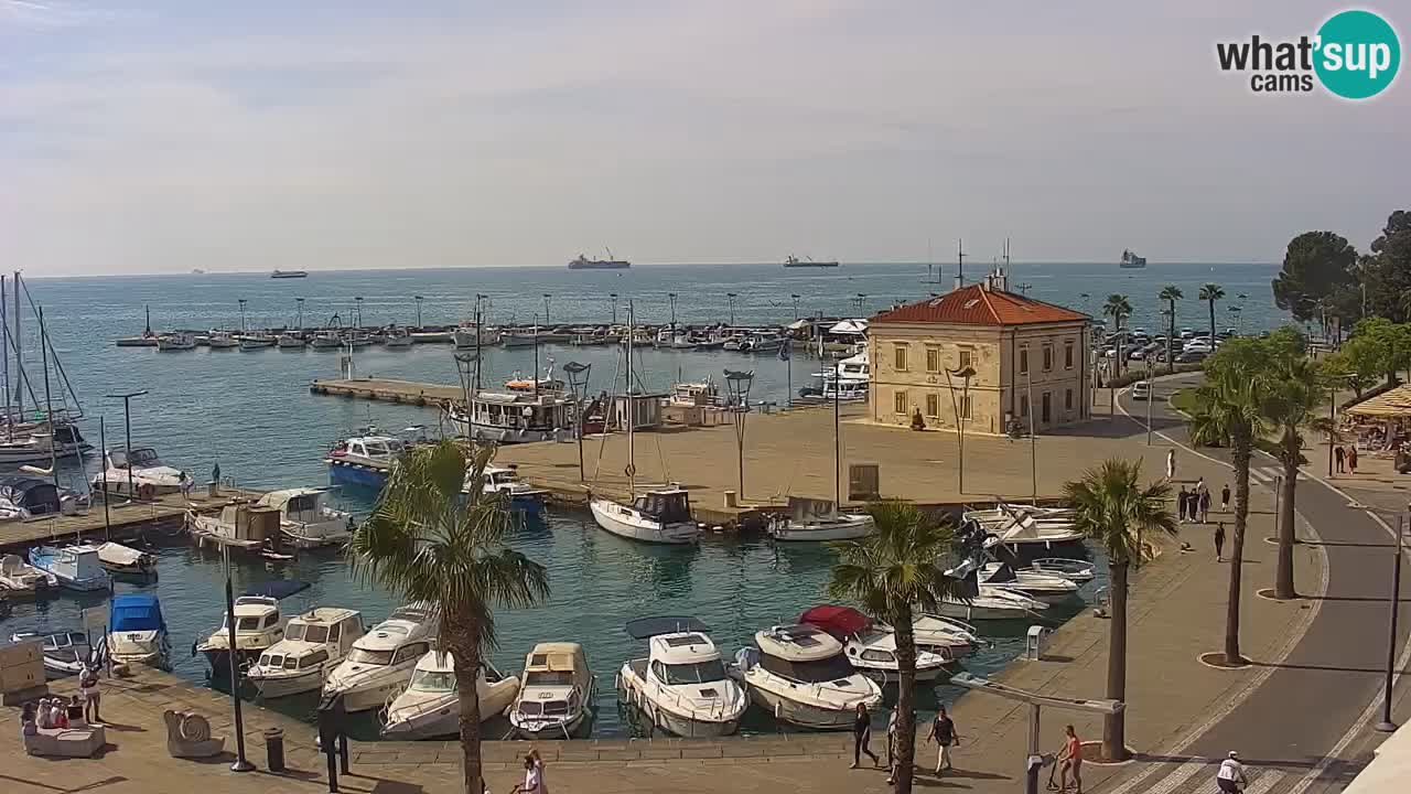 Webcam en vivo del Puerto de Koper – puerto de carga y cruceros – Eslovenia