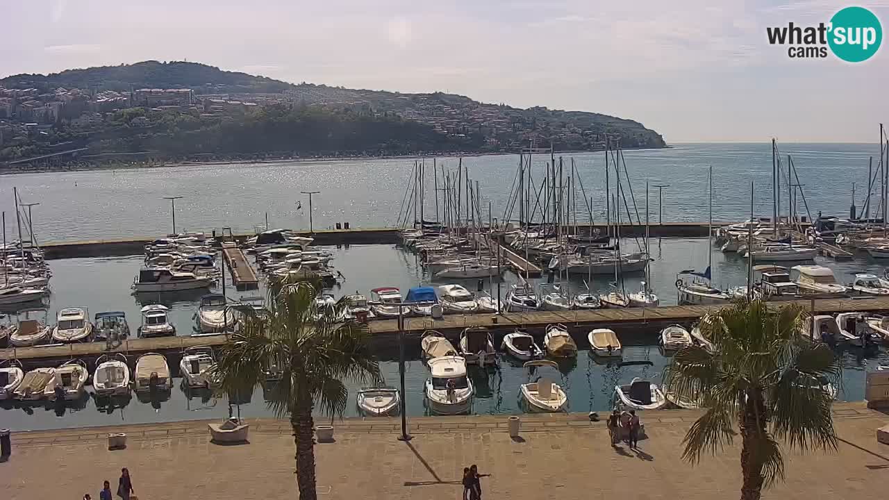 Camera en Vivo Koper – Ukmarjev trg