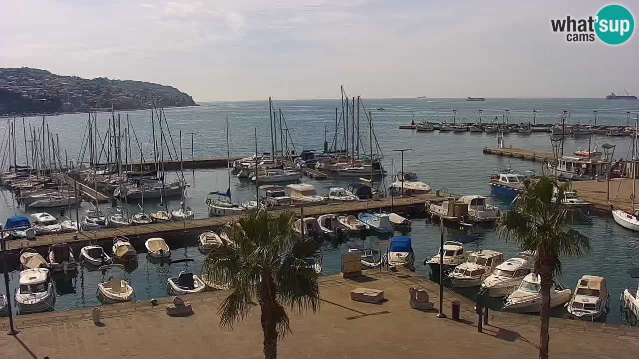 Webcam en vivo del Puerto de Koper – puerto de carga y cruceros – Eslovenia
