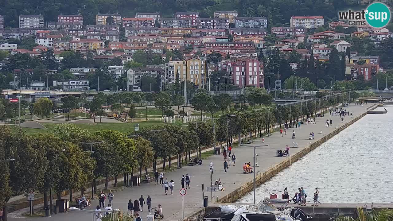 Spletna kamera Koper – Panorama na marino in promenado s Hotela Grand Koper