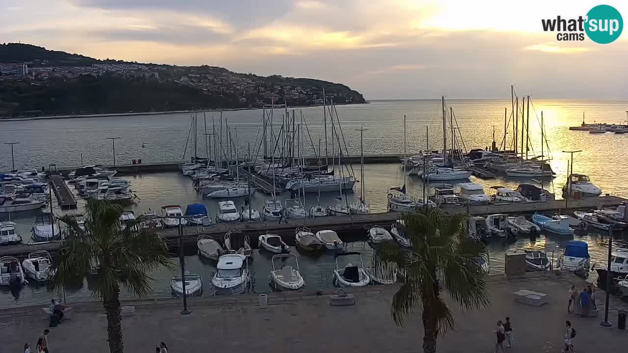 The Port of Koper live webcam – cruise and cargo port – Slovenia