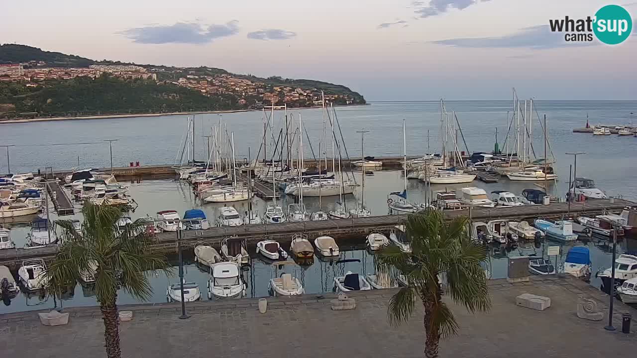 Webcam Koper – Panorama des Jachthafens und der Promenade vom Hotel Grand Koper