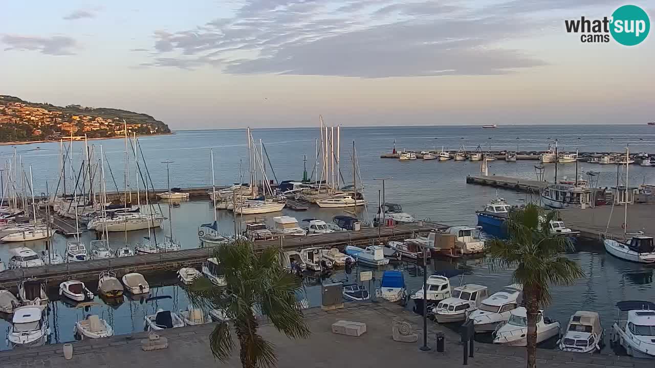 Camera en Vivo Koper – Ukmarjev trg