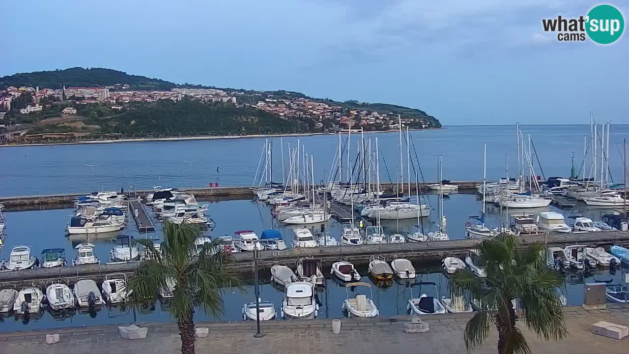 Webcam Koper – Panorama des Jachthafens und der Promenade vom Hotel Grand Koper