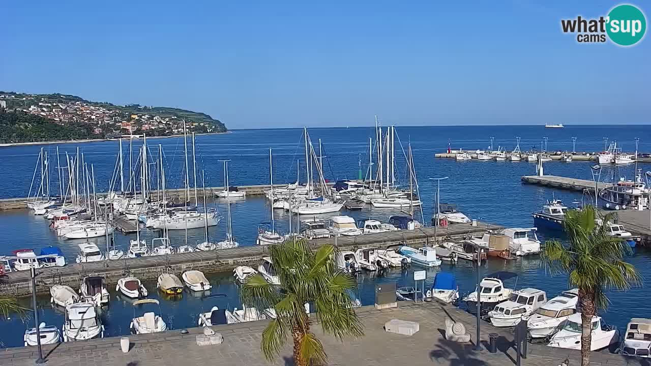 Webcam Koper – Panorama of the marina and promenade from the Grand Hotel Koper