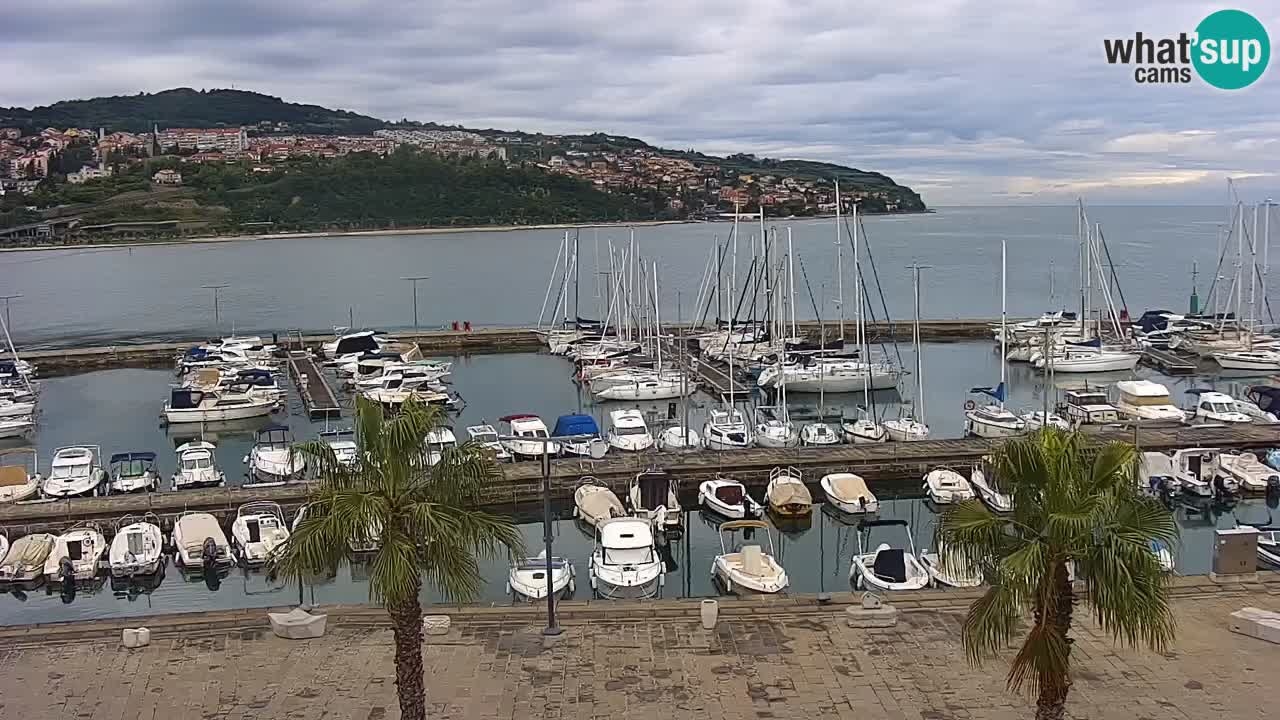 Web kamera Koper – marina i promenada – hotel Grand Koper