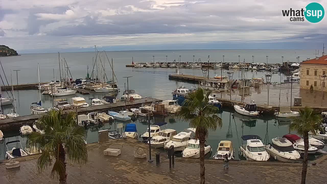 Webcam Koper – Panorama des Jachthafens und der Promenade vom Hotel Grand Koper