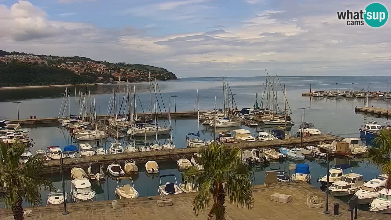 Webcam en direct du port de Koper – port de croisière et de fret – Slovénie