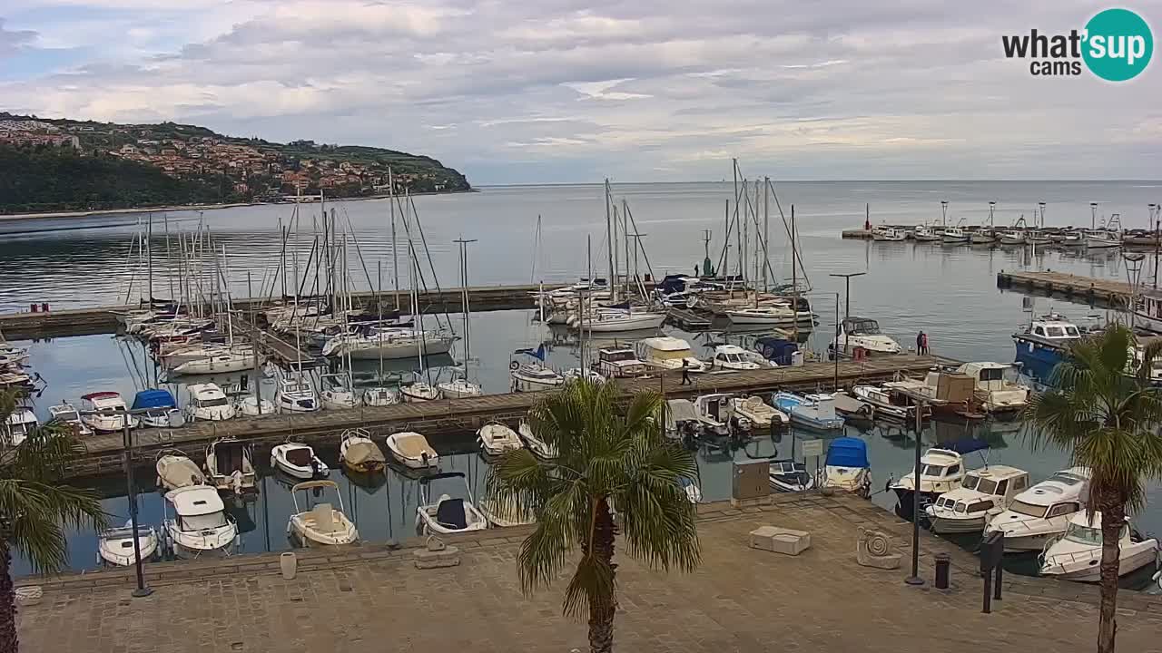 Webcam en direct du port de Koper – port de croisière et de fret – Slovénie
