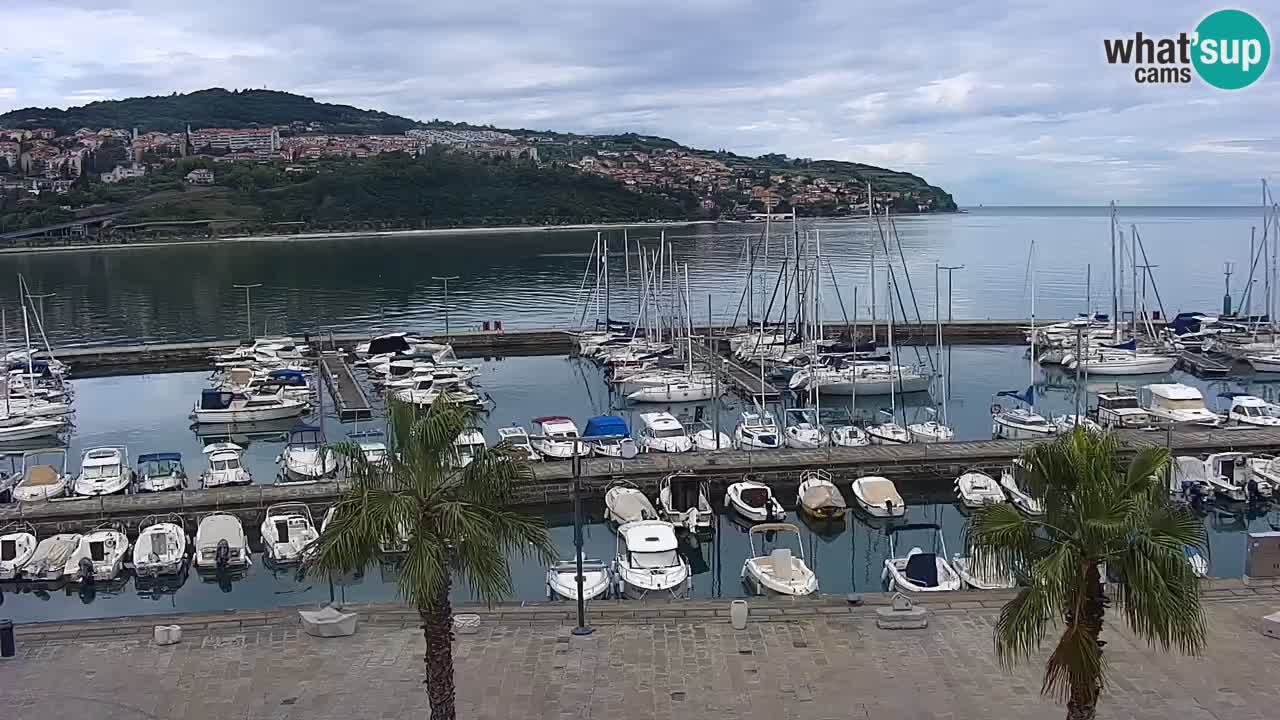 Spletna kamera Koper – Panorama na marino in promenado s Hotela Grand Koper