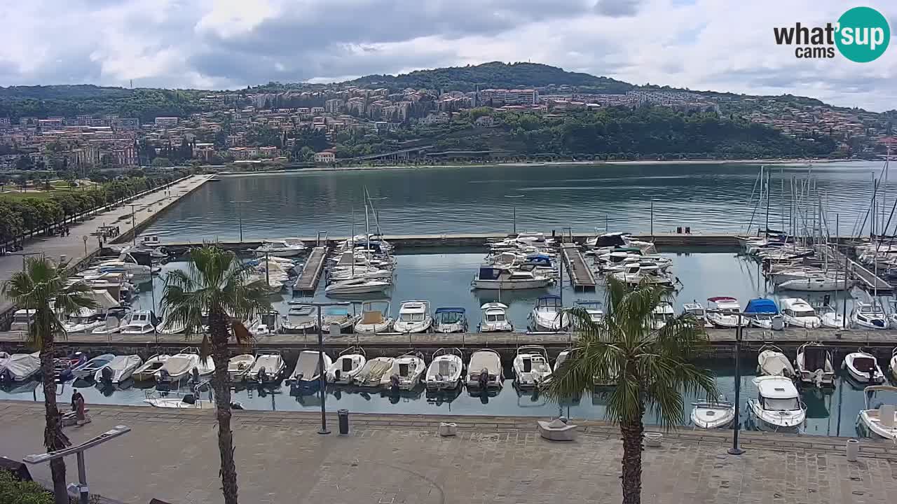 Der Hafen von Koper Live-Webcam – Kreuzfahrt- und Frachthafen – Slowenien