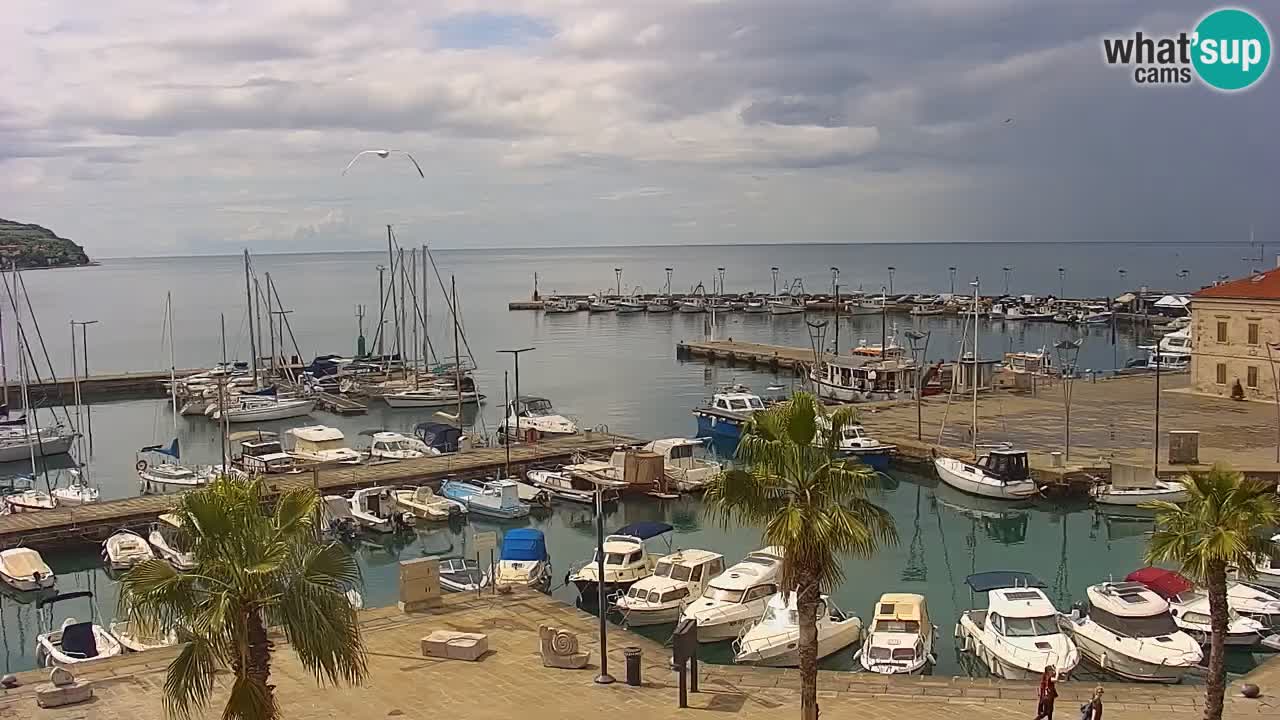 Webcam Koper – Panorama des Jachthafens und der Promenade vom Hotel Grand Koper