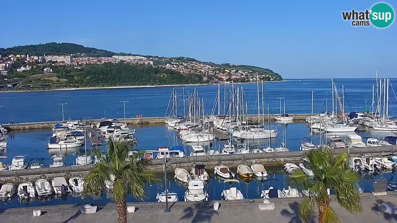 Live cam Koper – Ukmarjev trg