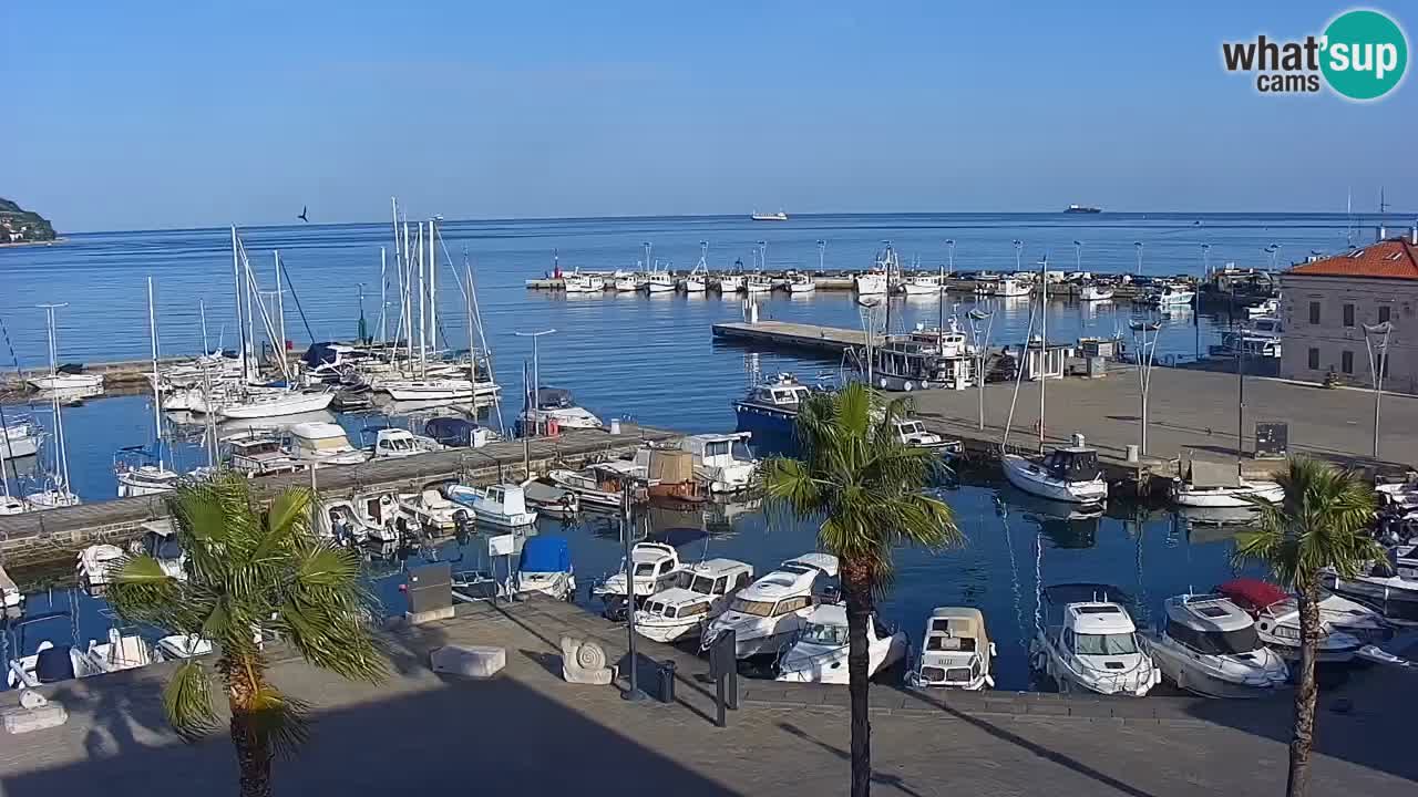 Camera en Vivo Koper – Ukmarjev trg