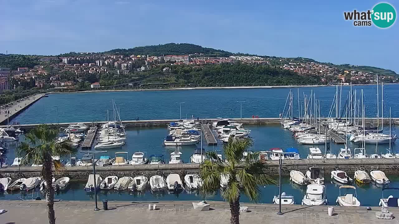 Spletna kamera Luka Koper v živo – Potniški terminal in tovorno pristanišče – Slovenija