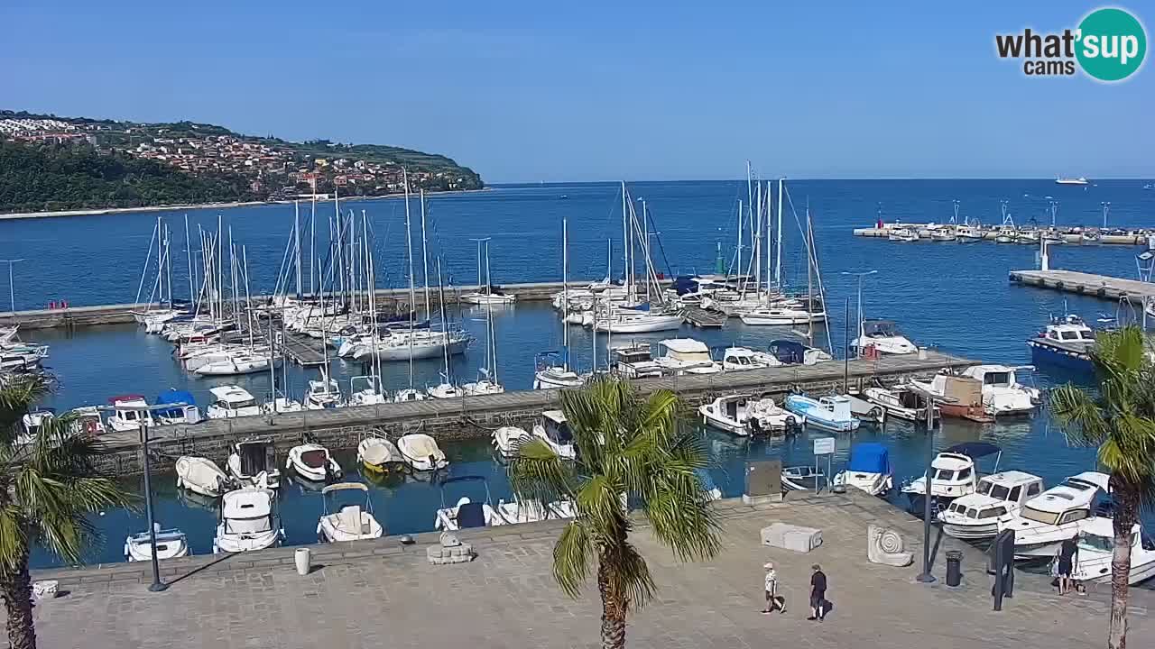 Webcam Koper – Panorama des Jachthafens und der Promenade vom Hotel Grand Koper