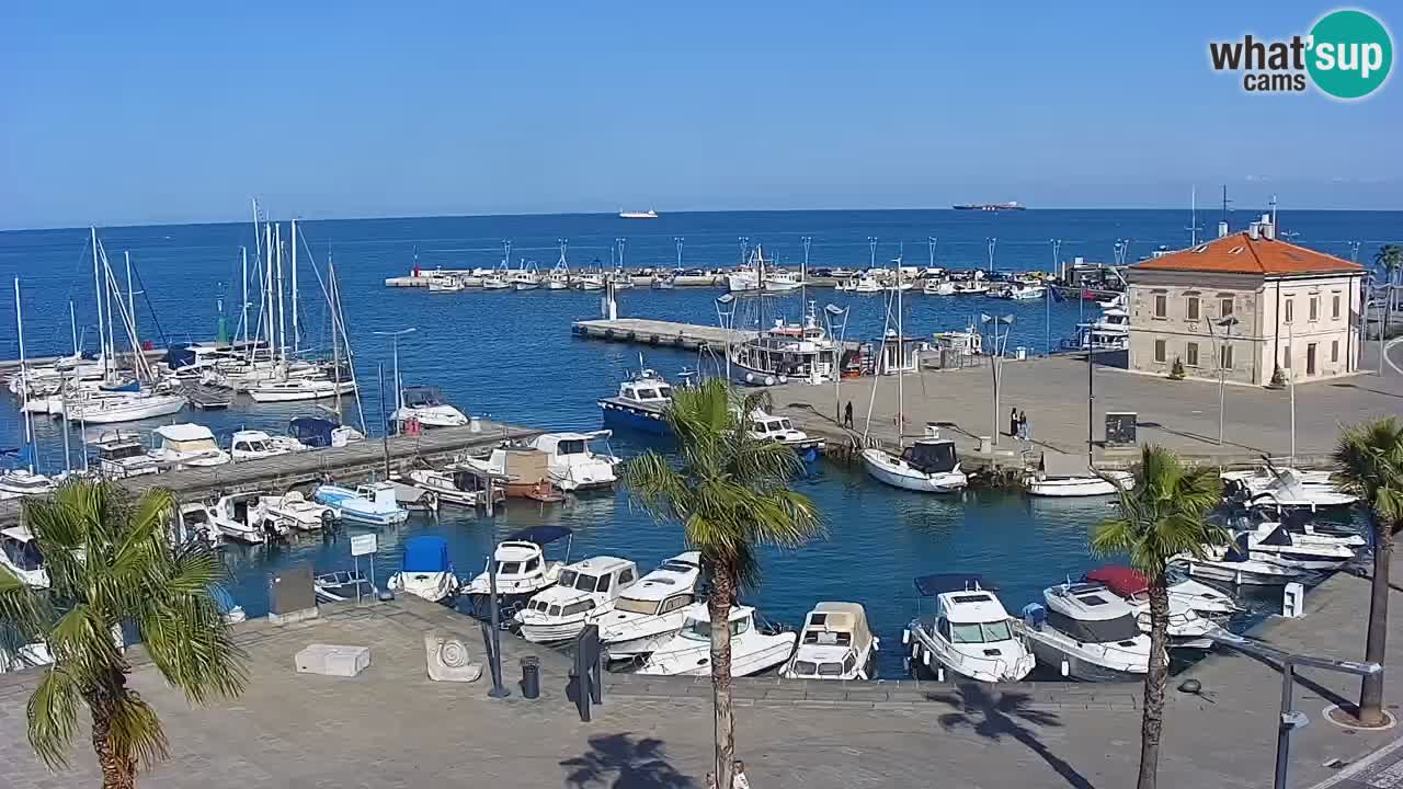 Spletna kamera Luka Koper v živo – Potniški terminal in tovorno pristanišče – Slovenija