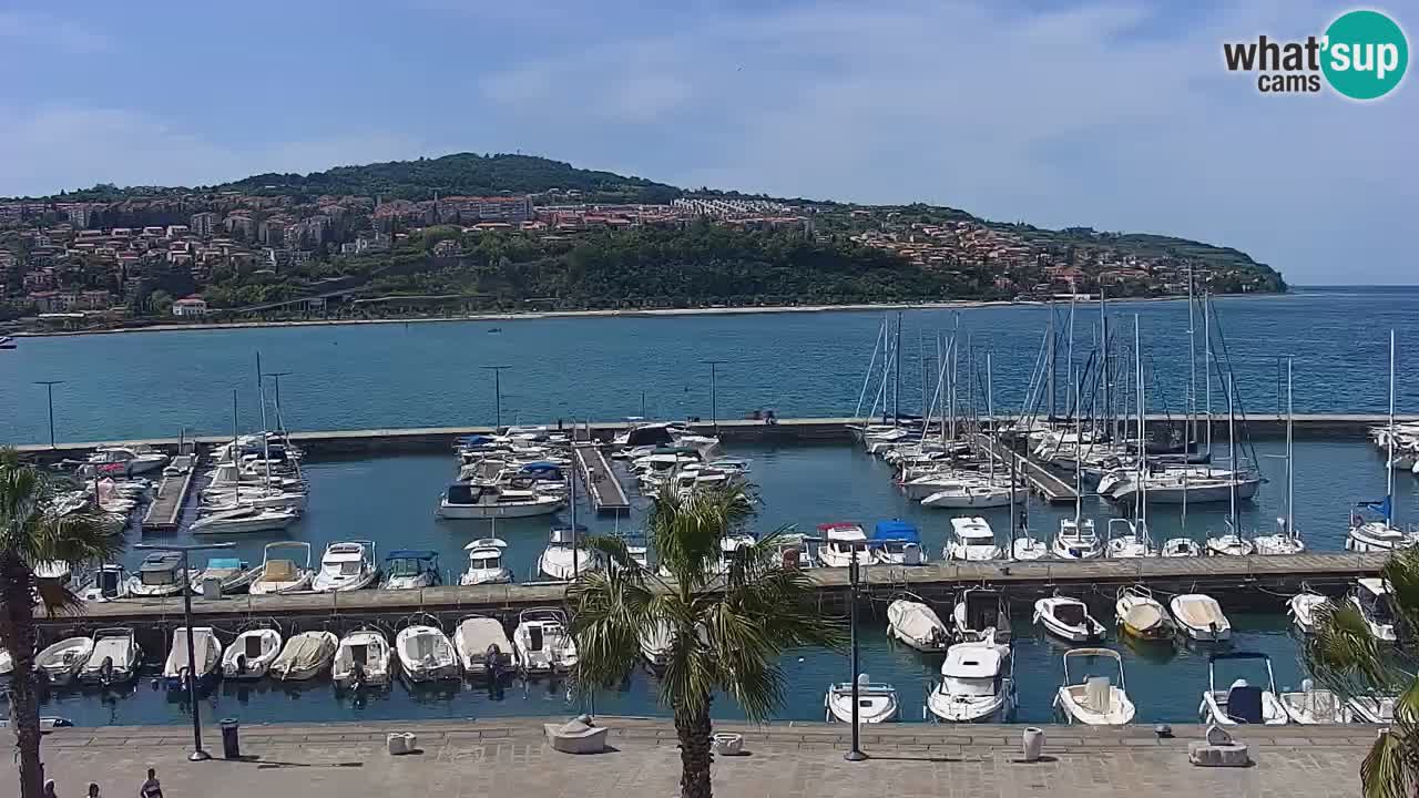 Luka Kopar uživo web kamera – Turistički terminal i teretna luka – Slovenija