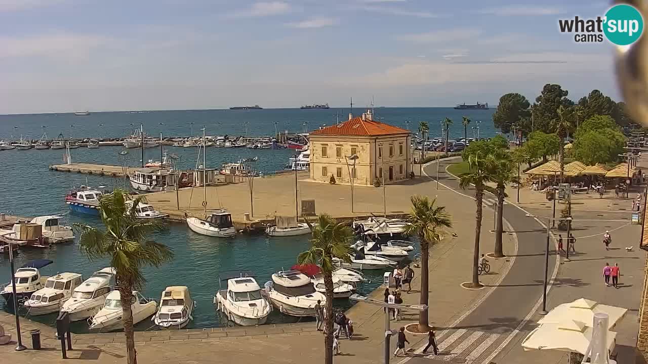 Livecam Koper – Ukmarjev trg