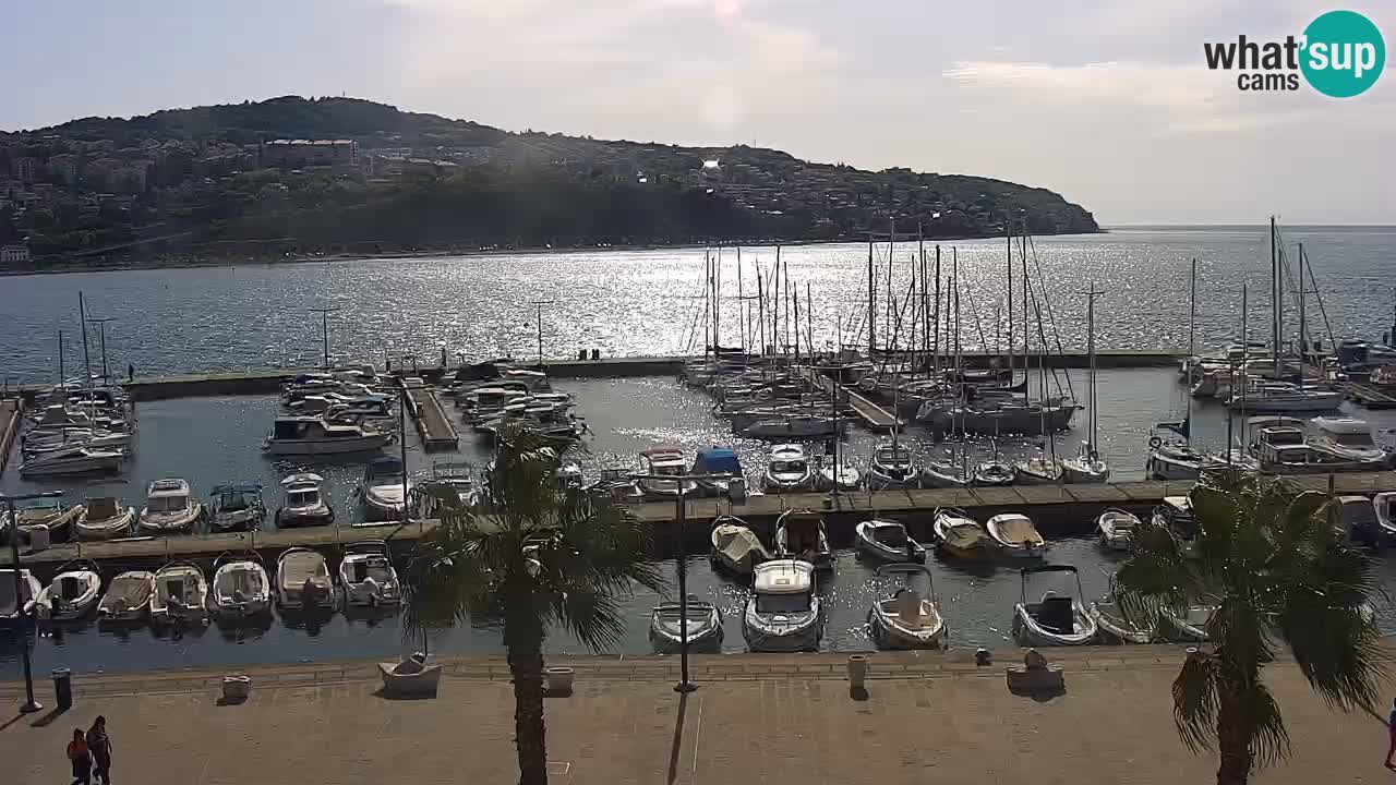 Webcam Koper – Panorama de la marina et de la promenade depuis le Grand Hotel Koper