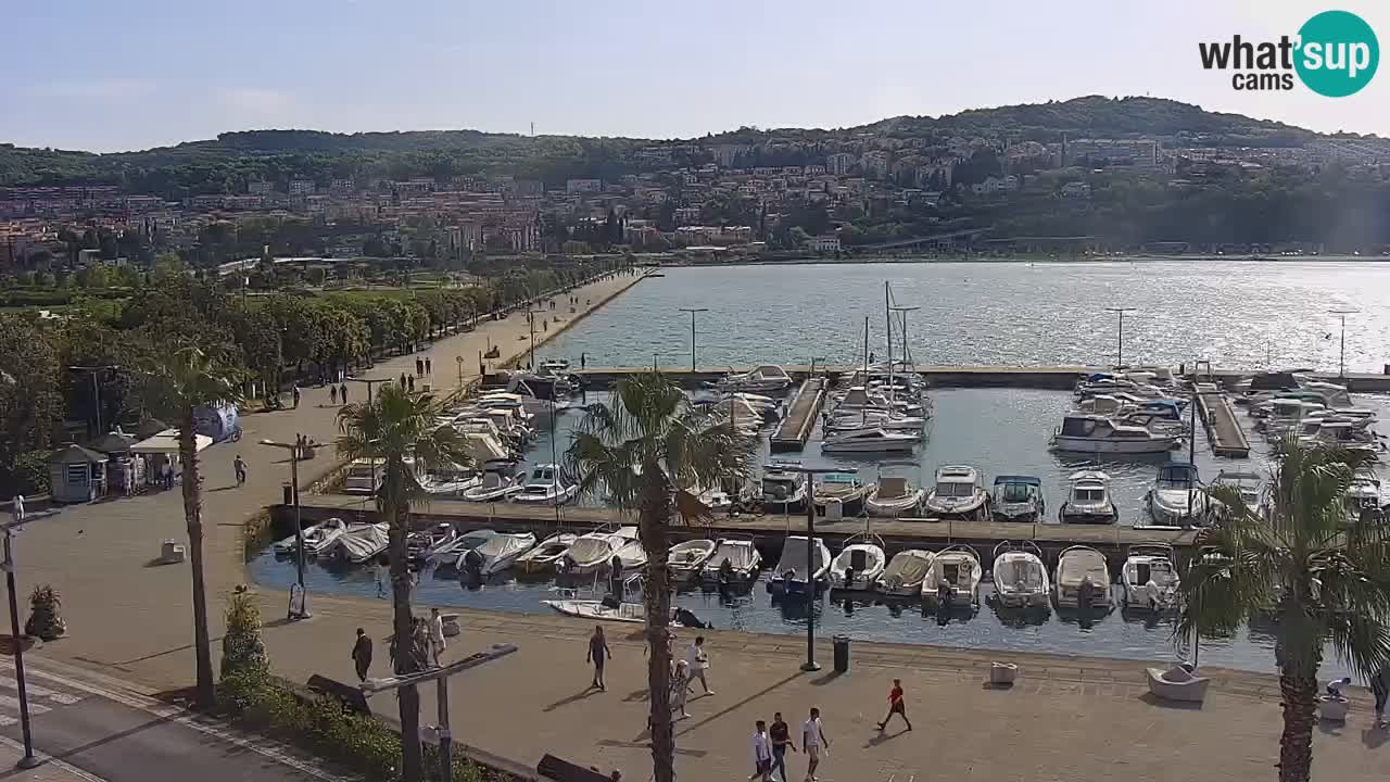 Der Hafen von Koper Live-Webcam – Kreuzfahrt- und Frachthafen – Slowenien