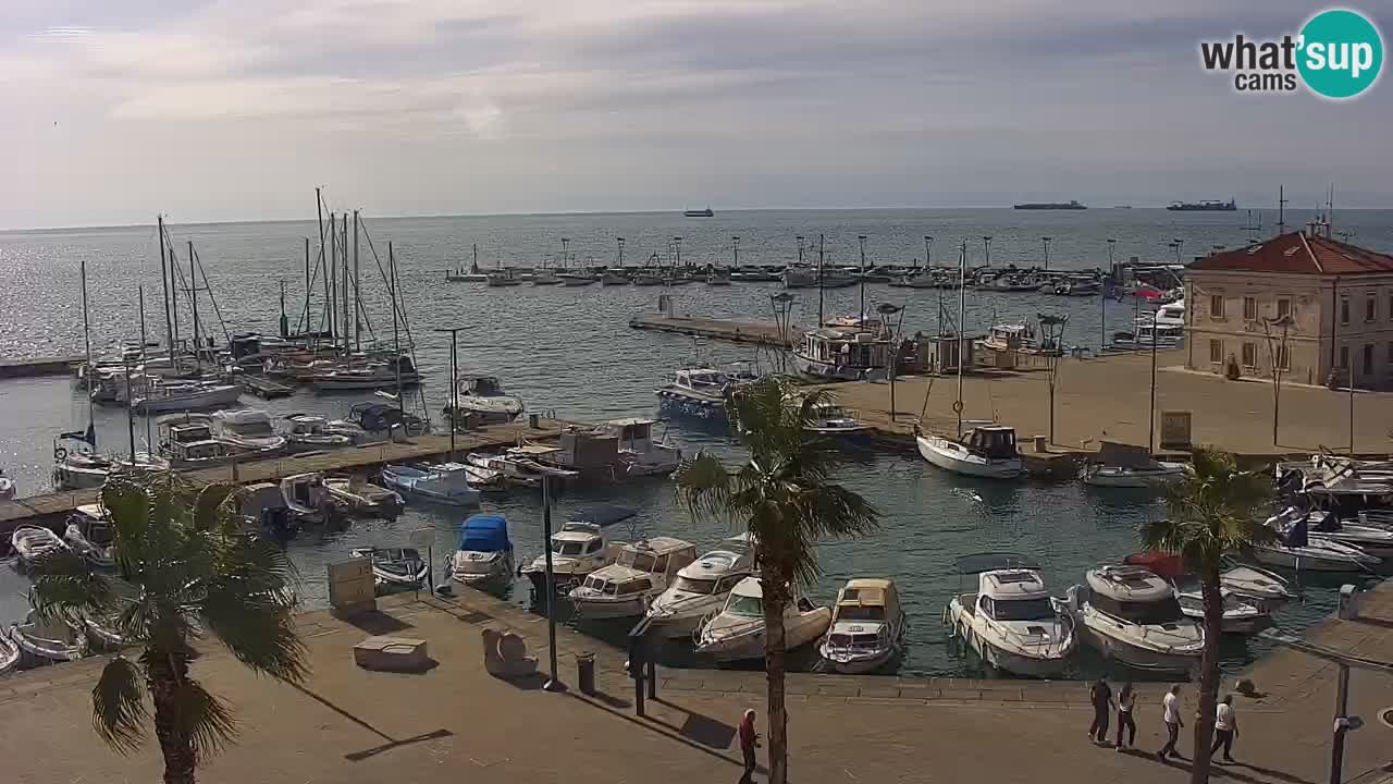 Webcam Koper – Panorama des Jachthafens und der Promenade vom Hotel Grand Koper
