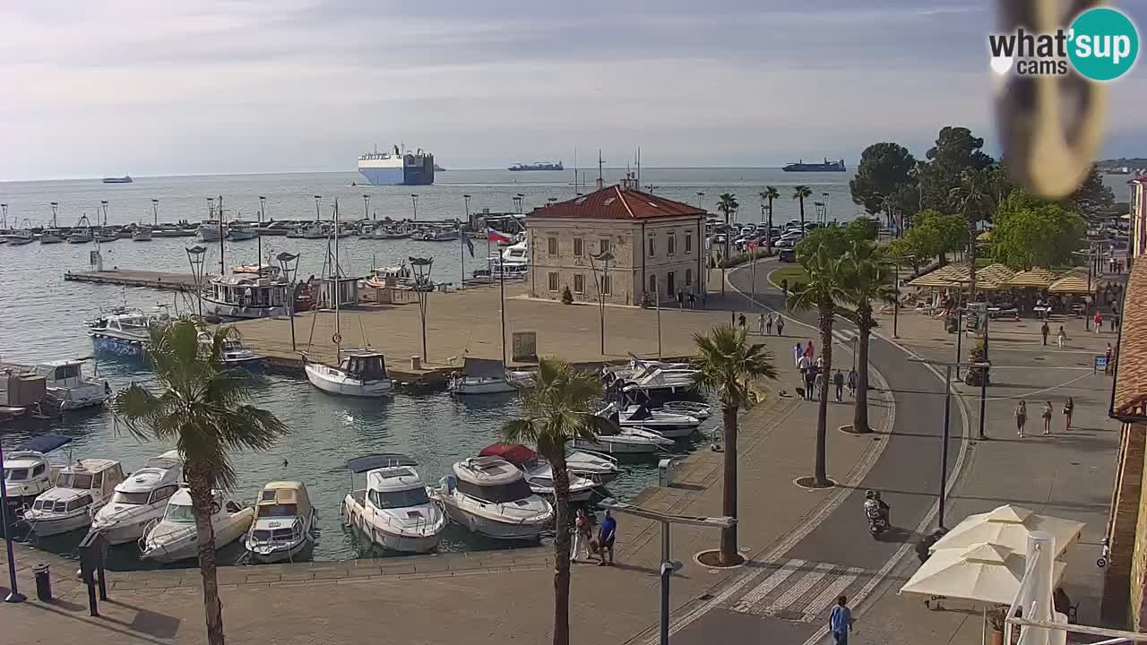 Der Hafen von Koper Live-Webcam – Kreuzfahrt- und Frachthafen – Slowenien