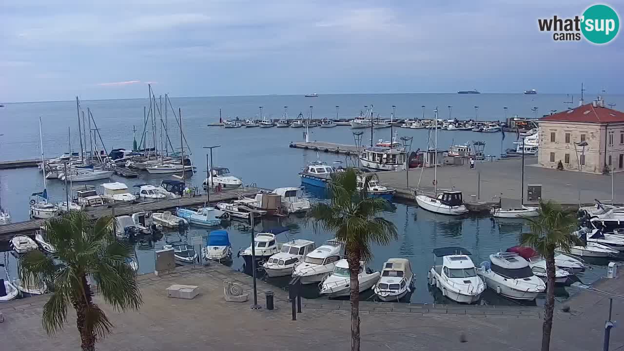 Web kamera Koper – marina i promenada – hotel Grand Koper
