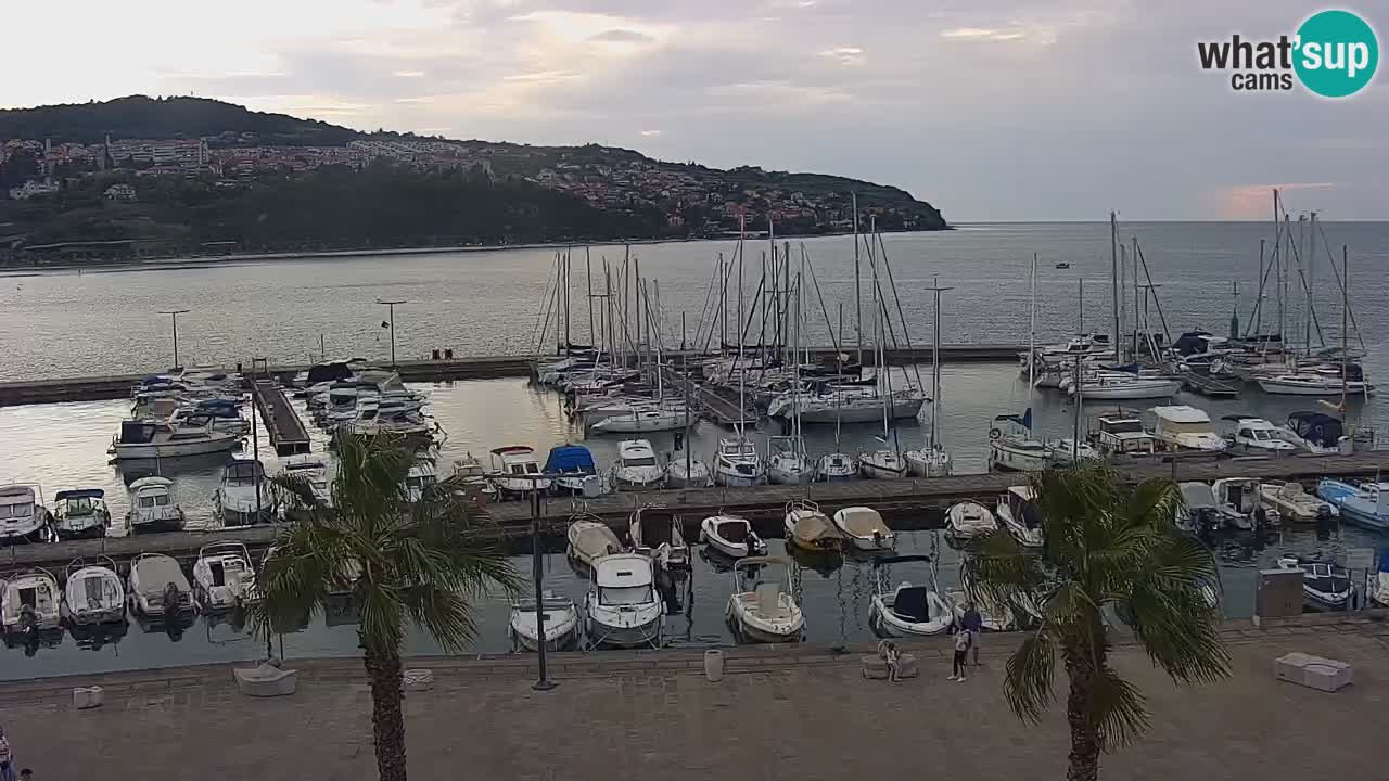 Webcam Koper – Panorama des Jachthafens und der Promenade vom Hotel Grand Koper