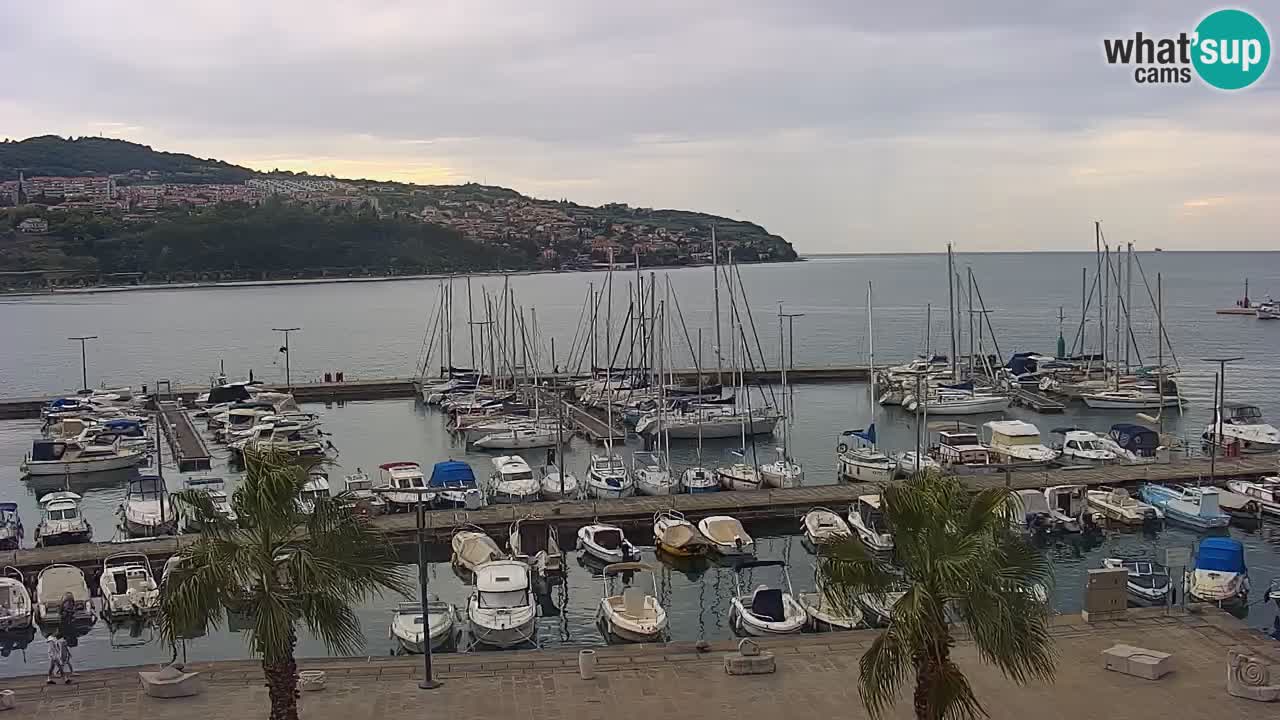 Spletna kamera Koper – Panorama na marino in promenado s Hotela Grand Koper