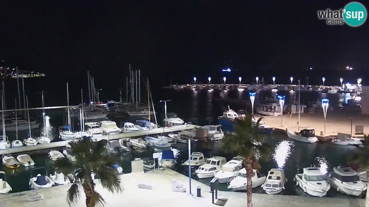 The Port of Koper live webcam – cruise and cargo port – Slovenia