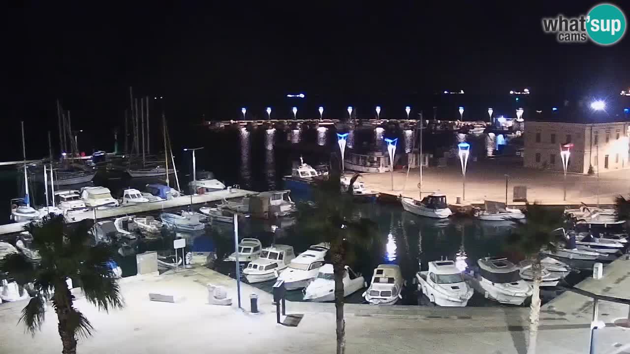 Camera en Vivo Koper – Ukmarjev trg