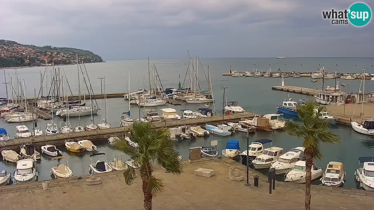 Der Hafen von Koper Live-Webcam – Kreuzfahrt- und Frachthafen – Slowenien