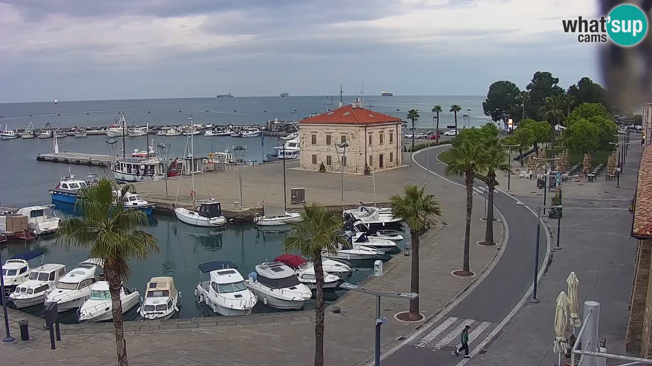 Camera en Vivo Koper – Ukmarjev trg
