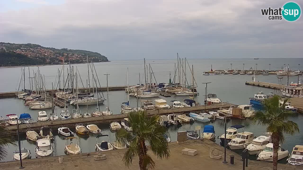 Webcam Koper – Panorama of the marina and promenade from the Grand Hotel Koper