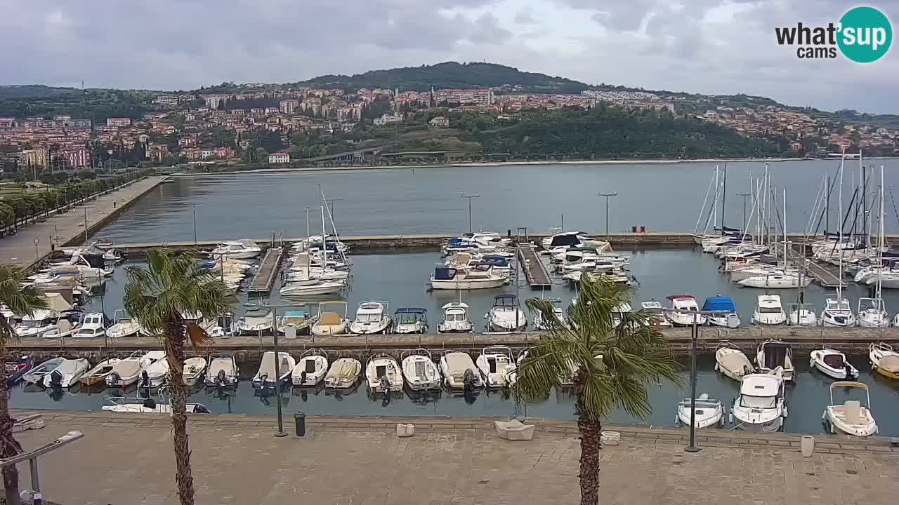 Der Hafen von Koper Live-Webcam – Kreuzfahrt- und Frachthafen – Slowenien