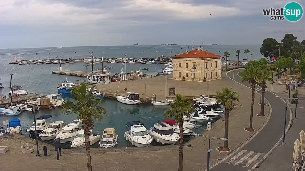 Spletna kamera Koper – Panorama na marino in promenado s Hotela Grand Koper