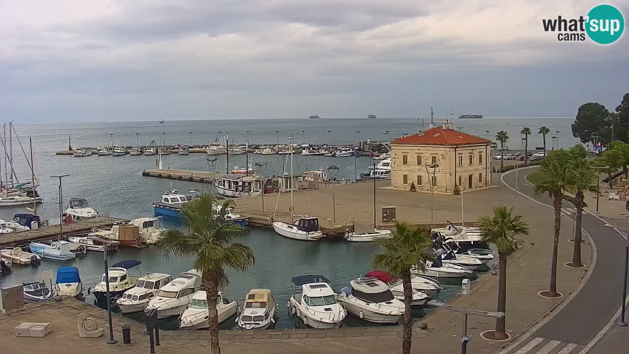 Webcam Koper – Panorama of the marina and promenade from the Grand Hotel Koper