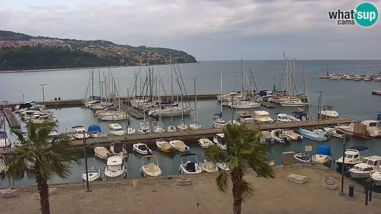 Spletna kamera Luka Koper v živo – Potniški terminal in tovorno pristanišče – Slovenija