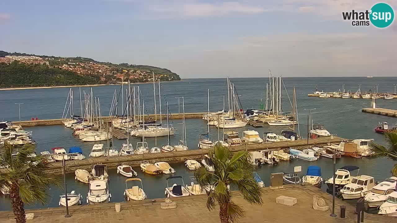 Spletna kamera Koper – Panorama na marino in promenado s Hotela Grand Koper